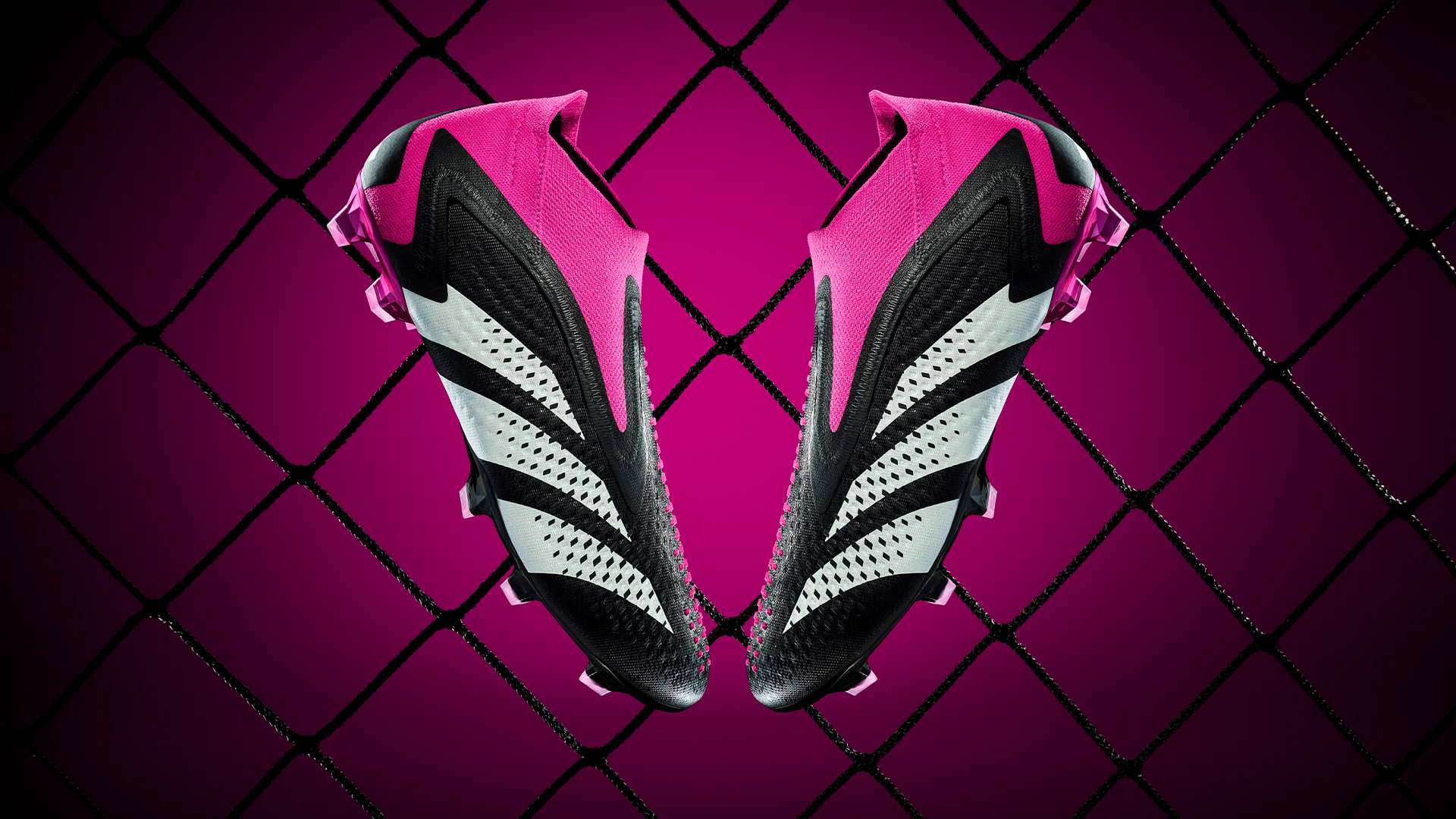 总是既期待 总是既期待