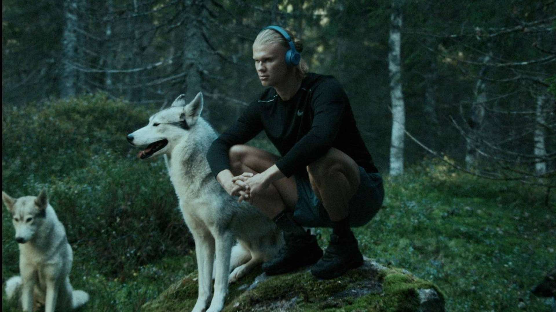 球队中每一 球队中每一